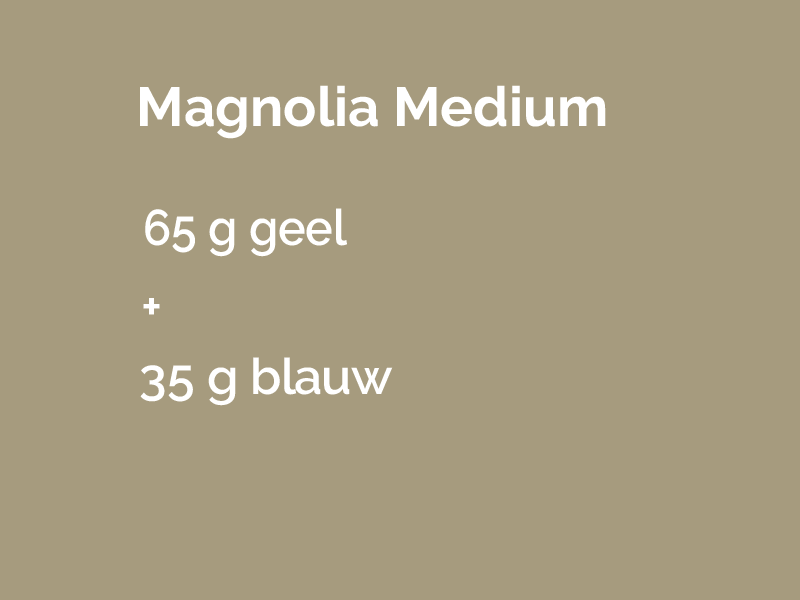 Magnolia medium.png